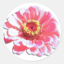 Sök efter zinnias klistermärken För alla