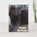 Sök efter ryska kort Katt