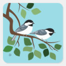 Sök efter chickadee klistermärken Vattensköna