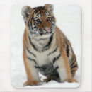Sök efter tiger musmattor Vinter