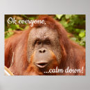 Sök efter apa posters För alla