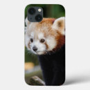 Sök efter panda iphone 7 fodral Natur