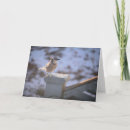 Sök efter jay kort Fotografi