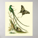 Sök efter ornithologist Ornithology