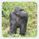 Sök efter rwanda klistermärken Bergsgorilla