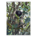 Sök efter gibbon Apor