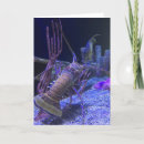 Sök efter fiskkort kort Roligt