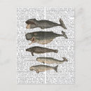 Sök efter val djur vykort Vintage