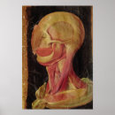 Sök efter anatomical posters Hieronymus