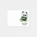 Sök efter gullig panda Människor (allmänt)