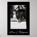 Sök efter dressage posters Hästar