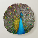 Sök efter påfågel kuddar Kricka