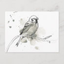 Sök efter birds vykort Djur