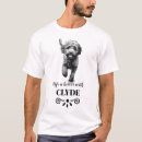 Sök efter lagotto Personlig
