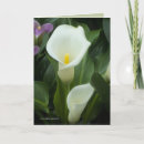 Sök efter calla födelsedagskort Blomma