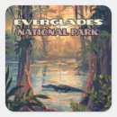 Sök efter everglades Florida