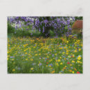 Sök efter stuga vykort Vilda blommor