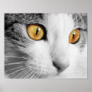 Sök efter whisky posters Svart och vit