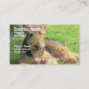 Sök efter airedaleterrier Terriers