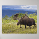 Sök efter 2010 posters Horn