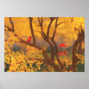Sök efter feeder posters Träd