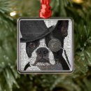 Sök efter boston terrier heminredning Hund