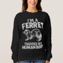 Sök efter ferret Illrar