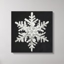 Sök efter snowflake mitt foto konst För alla
