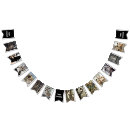 Sök efter häxa vimplar Vintage