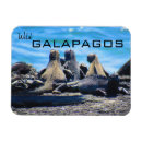 Sök efter galapagos magneter Vilda djur