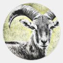 Sök efter zodiac undertecknar Symbol