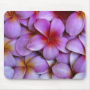 Sök efter rosa plumeria musmattor Natur