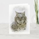 Sök efter bobcat kort Snö