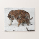 Sök efter tigress Katt