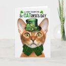 Sök efter abyssinian Katter