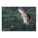 Sök efter griffon kort Griffin