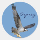 Sök efter flyga fisken klistermärken Osprey