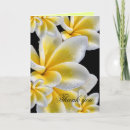 Sök efter plumeria kort Du