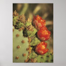 Sök efter sonora posters Natur