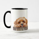 Sök efter cavapoo muggar Djur