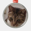 Sök efter högvärdigt hem presenter Katt