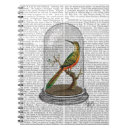 Sök efter fågelklockor Steampunk