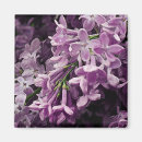 Sök efter blommafoto Blommigt