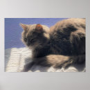 Sök efter målad katt posters Katter