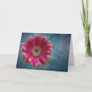 Sök efter röd gerbera Petaler