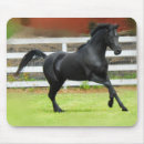 Sök efter equine musmattor Hingst