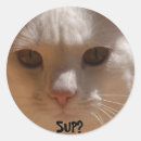 Sök efter supare klistermärken Katt