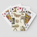 Sök efter elefant spelkort Djur