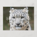 Sök efter brudtärnor kort För alla