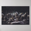 Sök efter varg posters Vintage